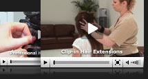 web video FLVs